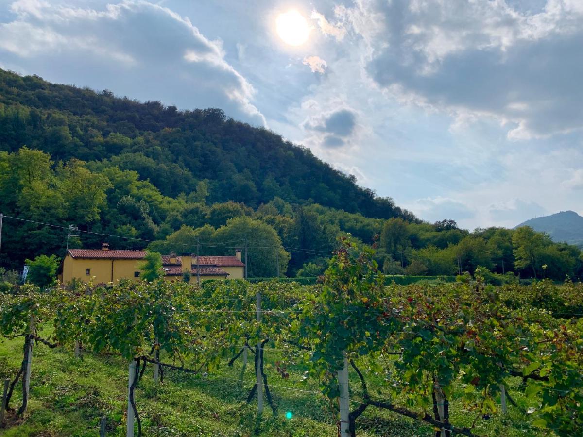 Holiday home Euganean Hills Natural Park: Casale Il Boschetto Torreglia