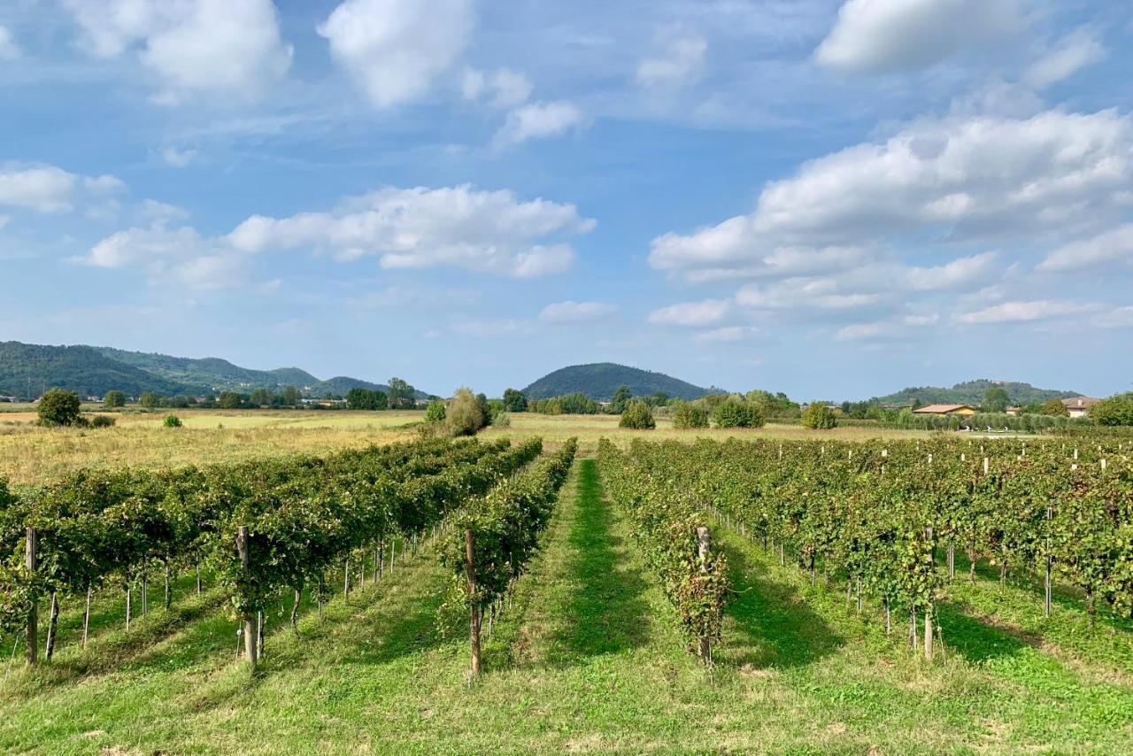 Holiday home Euganean Hills Natural Park: Casale Il Boschetto