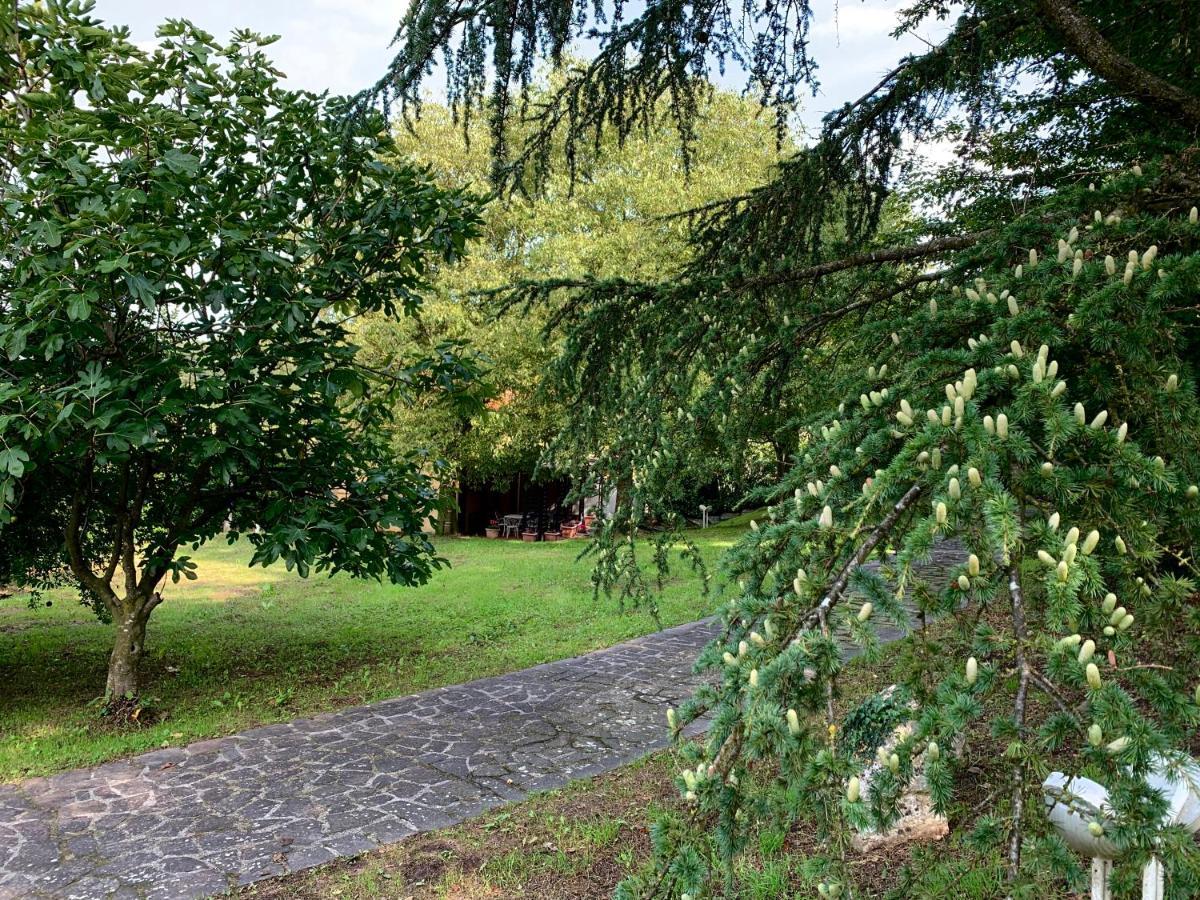 Euganean Hills Natural Park: Casale Il Boschetto Сasa de vacaciones