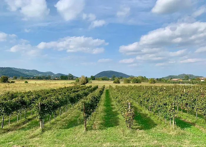Euganean Hills Natural Park: Casale Il Boschetto